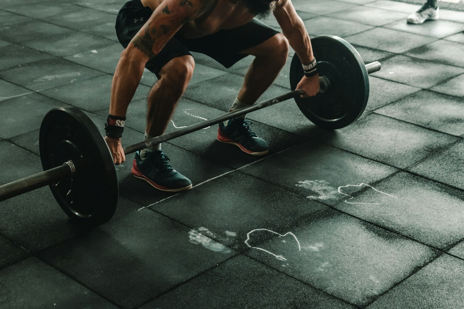 Gut Health Optimization